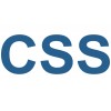 CSS (Южная Корея)